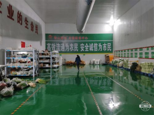 强化物流基础设施，武威助力农特产品销售出实招——农业企业托管服务创新模式