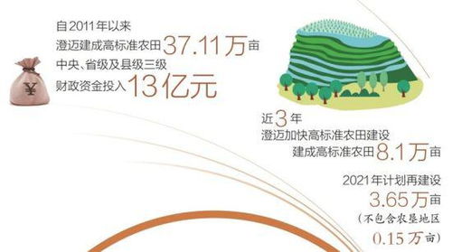 不再春怕旱秋怕涝 澄迈高标准农田建设助力农业提质增效