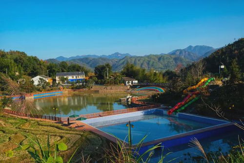 苍南小镇 农业托管服务孵出50亿产业链