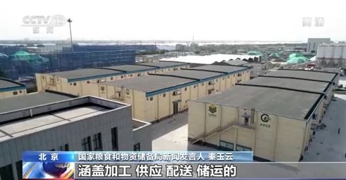 我国粮食市场供应充足且抗外部波动，农业企业托管服务助力产业稳定发展