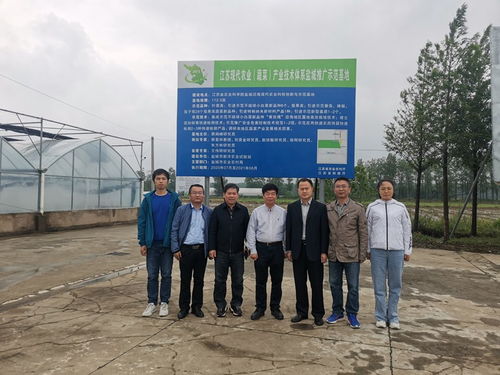 注重农产品质量安全 提升蔬菜产业设施构型