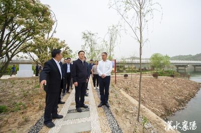 王祺扬强调 推进农文旅深度融合，以农业托管服务打造乡村振兴新引擎