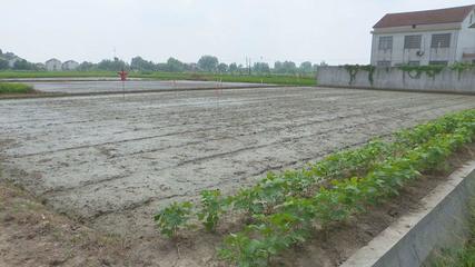 芦荻山乡 完善田间基础设施 创新托管服务模式 全力提升农业综合生产能力