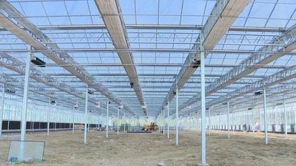 潍城 强化服务保障，农业企业托管服务推动重点项目建设再提速