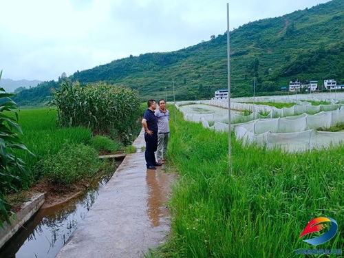 聚力破解历史难题，夯实农业发展根基——县农业农村委扎实推进农业基础设施建设