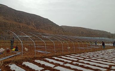 洛门镇 钢架大棚建设“加速度”搭起群众“致富路”，农业企业托管服务显成效