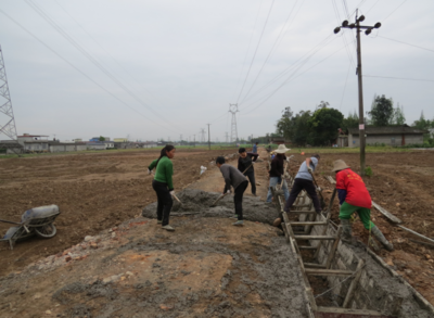 按下“快进键”！东坡区高标准农田建设正酣，筑牢现代农业发展根基