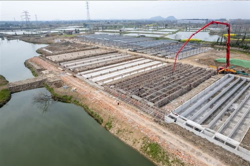 农业项目建设掀热潮，企业托管服务助振兴