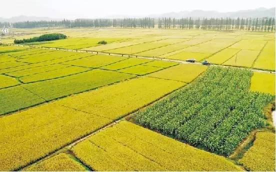 强化政策多渠道扶持 河南省高标准农田建设的战略布局